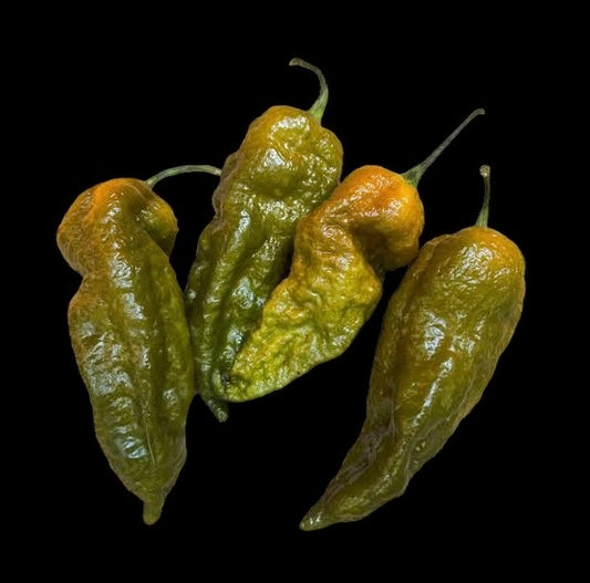 Seeds - Bhut Jolokia Mustard