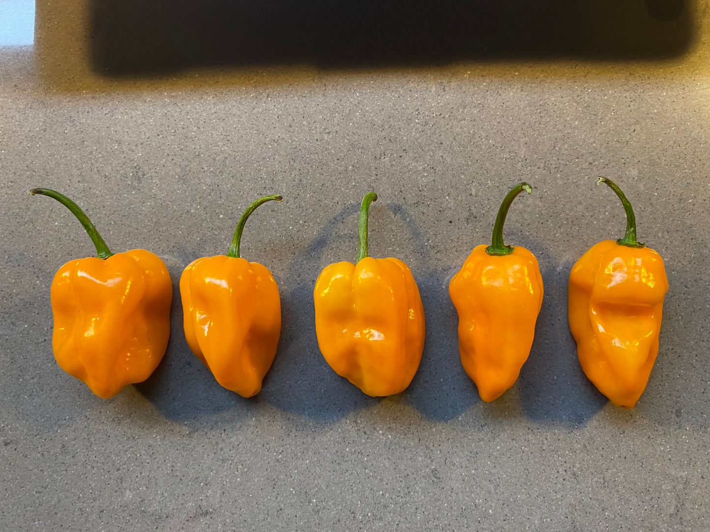 Seeds - Habanero Orange