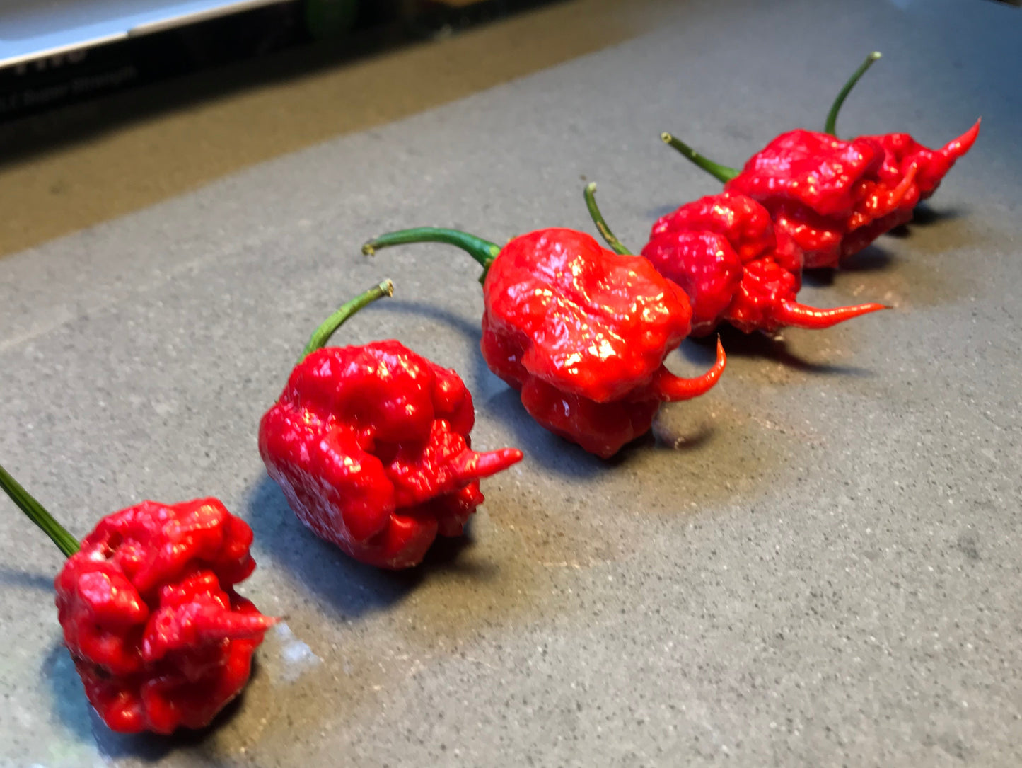 Seeds - Carolina Reaper
