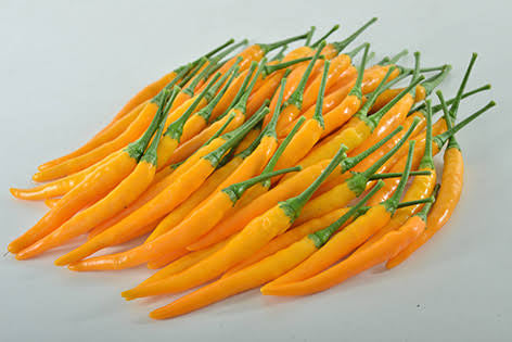 Seeds - Birds Eye Yellow