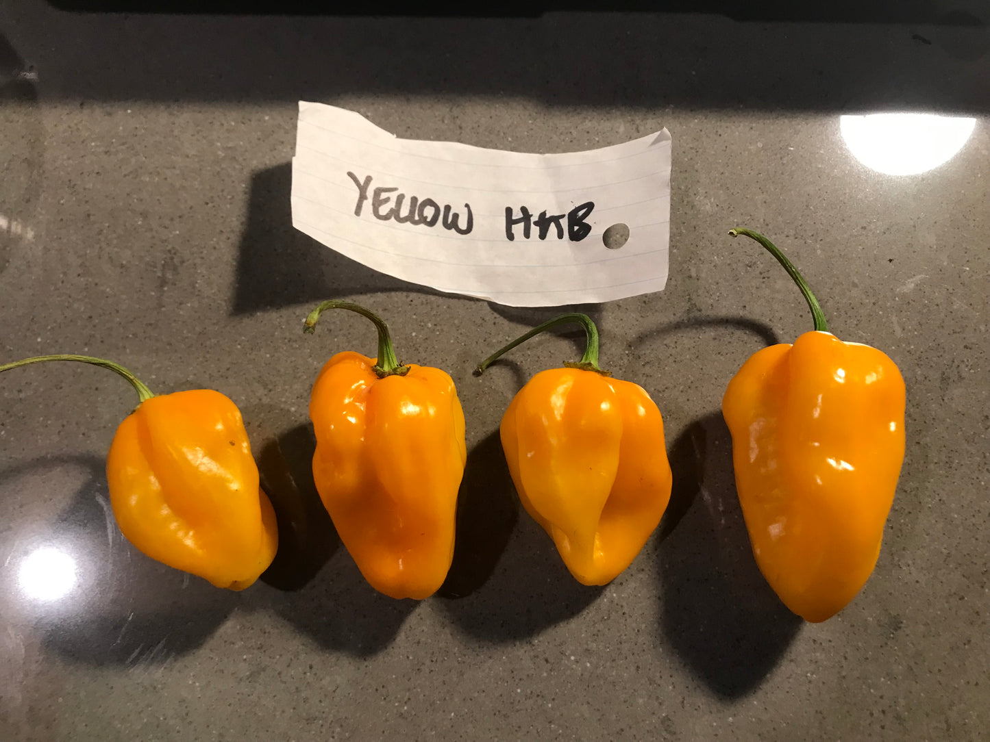 Seeds - Habanero Yellow