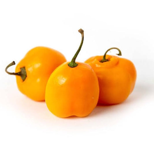 Seeds - Rocoto manzano yellow