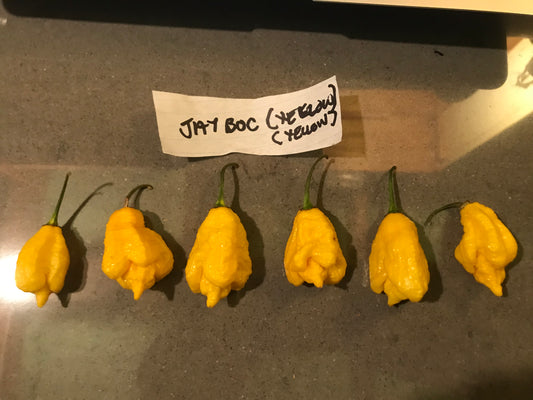 Seeds - JayBoc Yellow