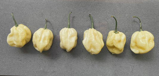 Seeds - Carolina Reaper White