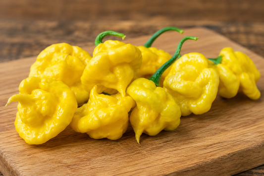 Seeds - Khang Star Lemon Starburst