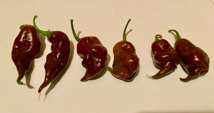 Seeds - SBS Demon Chocolate Habanero