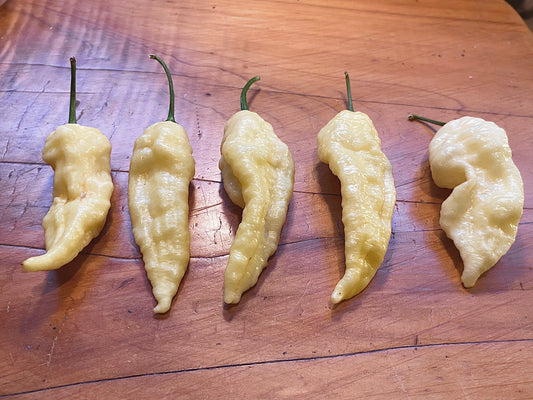 Seeds - Bhut Jolokia White (White Ghost)