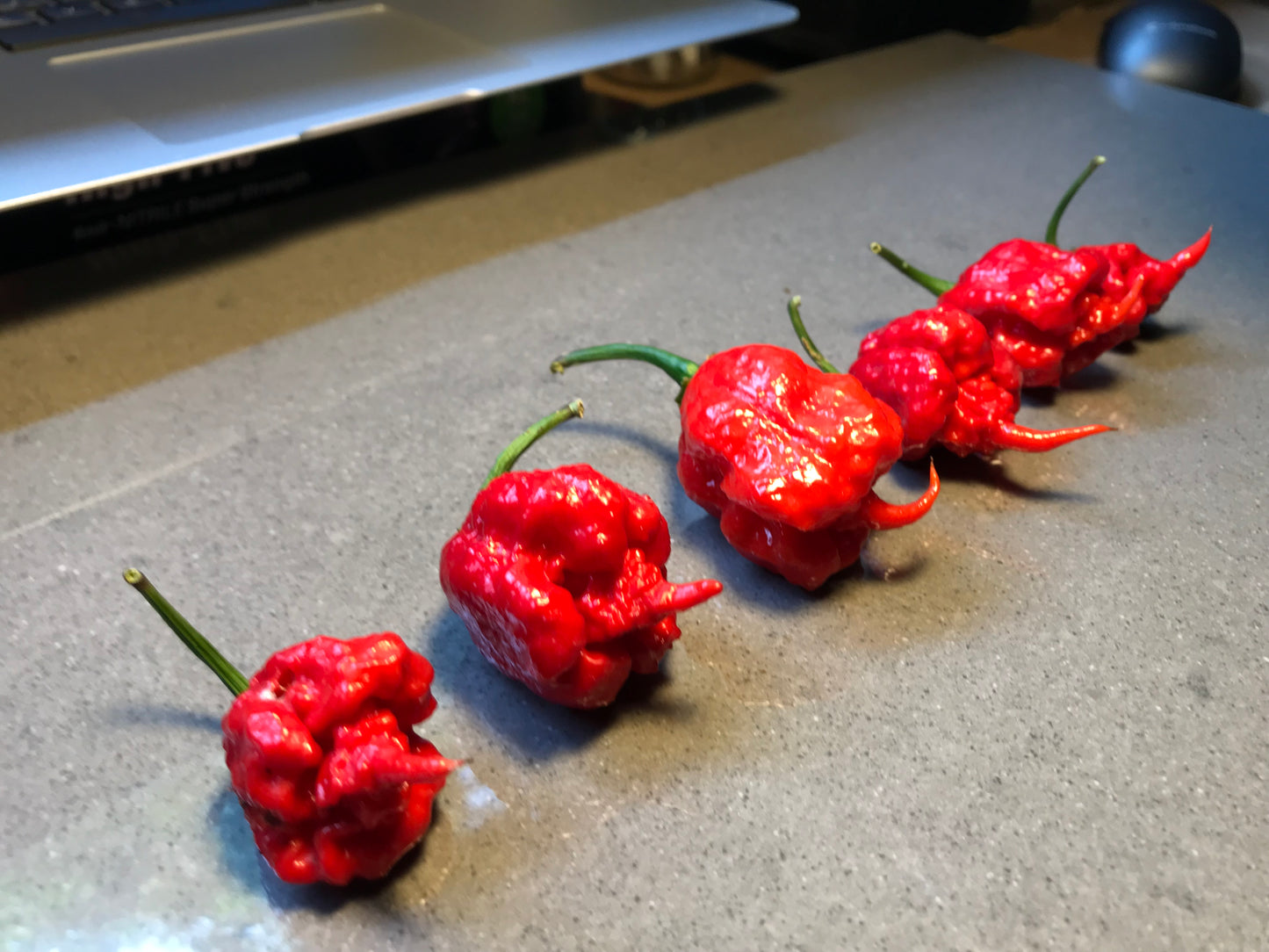 Seeds - Carolina Reaper