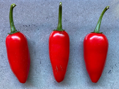 Seeds - Jalapeños