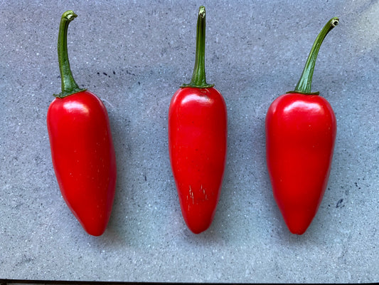 Seeds - Jalapeños