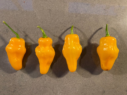 Seeds - Habanero Yellow Lantern