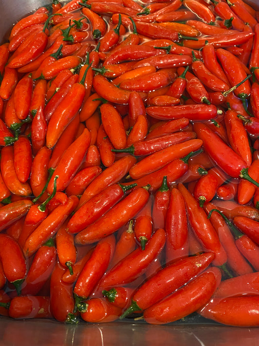 Seeds - Serrano