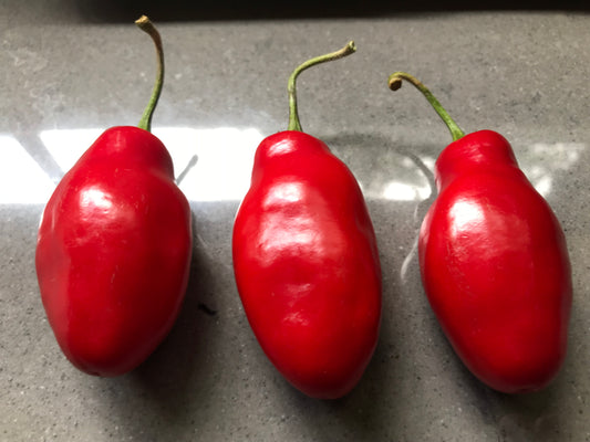 Seeds - Red Rocoto